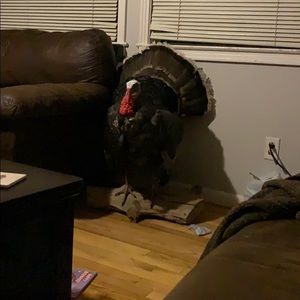 Meet your Posher, Brian